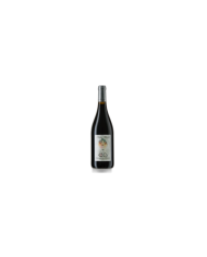 Vini Rossi  DONNA BOSCO MONTEPULCIANO D’ABRUZZO D.O.P. 2019 - Nestore Bosco 7,03 €