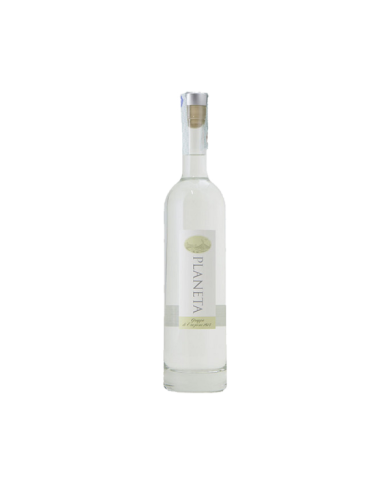Destillate  Grappa di Eruzione Carricante 50 cl - Planeta 21,70 â‚¬ Destillate  Grappa di Eruzione Carricante 50 cl - Planeta 21,70 â‚¬