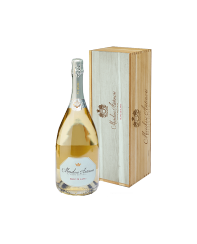 Vini Bianchi  Montenisa Franciacorta Blanc de Blancs Magnum - Marchese Antinori 76,87&nbsp;€