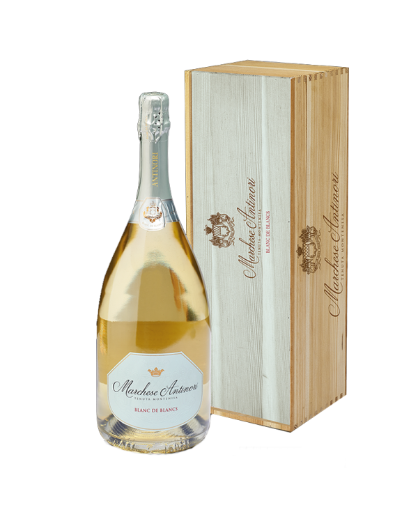 White wines  Montenisa Franciacorta Blanc de Blancs Magnum - Marchese Antinori 76,87 €