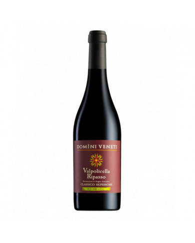 Vini Rossi  Valpolicella Ripasso DOC Classico Superiore Bio - Cantina Valpolicella Negrar 10,57 €