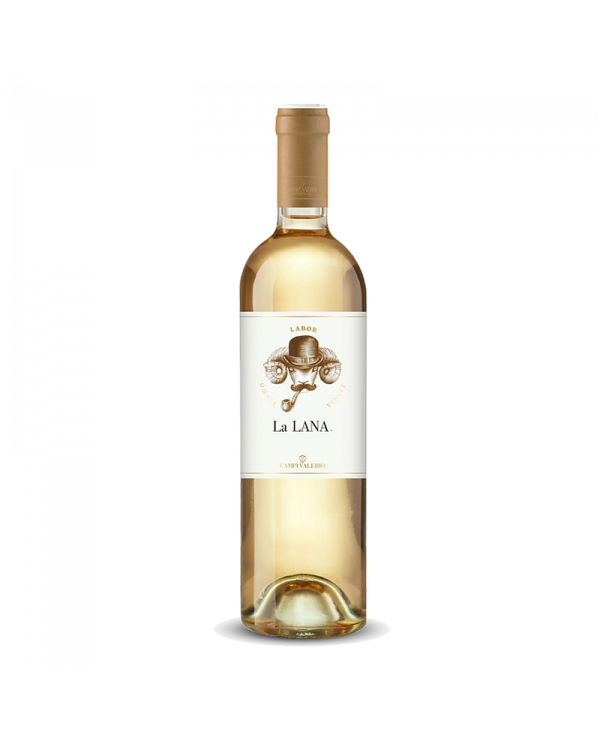 Witte Wijnen  La LANA Falanghina del Molise DOC 2021 - Campi Valerio 29,40 â‚¬ Witte Wijnen  La LANA Falanghina del Molise DOC 2021 - Campi Valerio 29,40 â‚¬