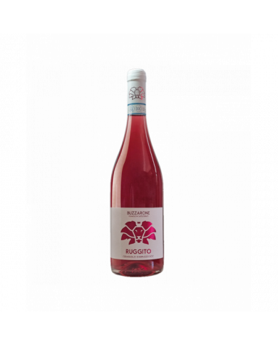 Rosé-Weine  Ruggito Cerasuolo D'Abruzzo DOC 2021 - Buzzarone 12,60 € Rosé-Weine  Ruggito Cerasuolo D'Abruzzo DOC 2021 - Buzzarone 12,60 €