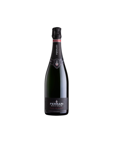 White wines  Trento DOC Maximum Blanc de Blancs - Ferrari 20,41 € White wines  Trento DOC Maximum Blanc de Blancs - Ferrari 20,41 €