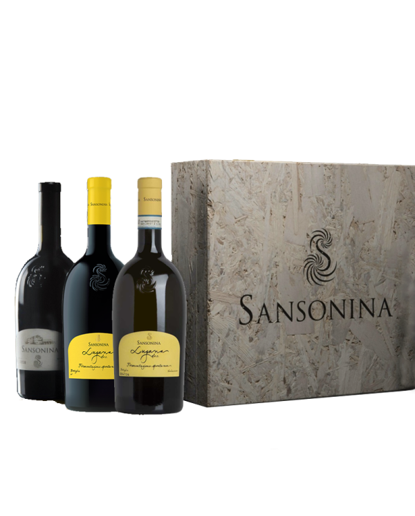 Vini Rossi  Cassetta "Genius Loci" 3 BT: Sansonina Lugana DOC 2019 - Rosso Sansonina - Lugana Fermentazione spontanea - Zenat... Vini Rossi  Cassetta "Genius Loci" 3 BT: Sansonina Lugana DOC 2019 - Rosso Sansonina - Lugana Fermentazione spontanea - Zenat...