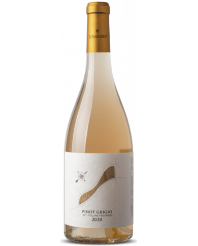 Vini Bianchi  Pinot Grigio Colline Pescaresi IGT 2020 - Vigne Lomanegra - Rosarubra 27,54 € Vini Bianchi  Pinot Grigio Colline Pescaresi IGT 2020 - Vigne Lomanegra - Rosarubra 27,54 €