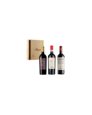 Vini Rossi  Cassetta in legno 3 BT: Valpolicella Classico DOC Valpolicella Superiore DOC Palazzo della Torre Veronese IGT - A... Vini Rossi  Cassetta in legno 3 BT: Valpolicella Classico DOC Valpolicella Superiore DOC Palazzo della Torre Veronese IGT - A...