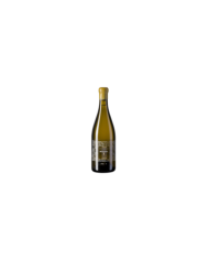Vini Bianchi  Boggina B Trebbiano Toscana IGT Biologico 2020 - Petrolo 39,02 €