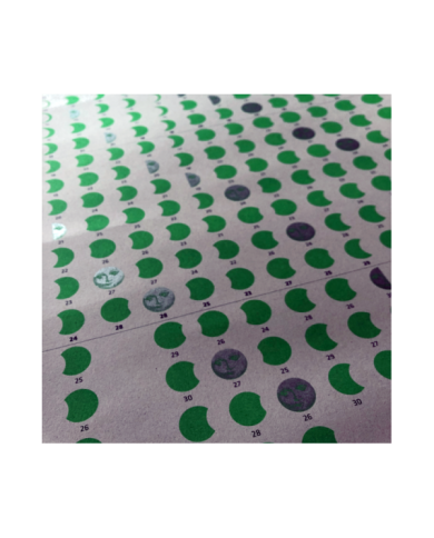 Accessori  Poster Calendario Lunare 2021 Dimensioni: 33x98 cm - Planeta 8,20 €