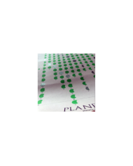 Accessori  Poster Calendario Lunare 2021 Dimensioni: 33x98 cm - Planeta 8,20 €