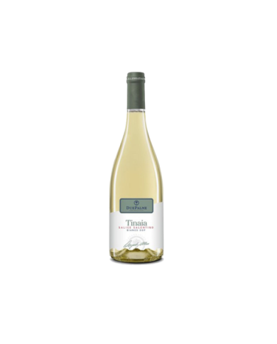 Vini Bianchi  Tinaia Salice Salentino DOP Celebration 2023 - Cantine Due Palme 9,59 â‚¬ Vini Bianchi  Tinaia Salice Salentino DOP Celebration 2023 - Cantine Due Palme 9,59 â‚¬
