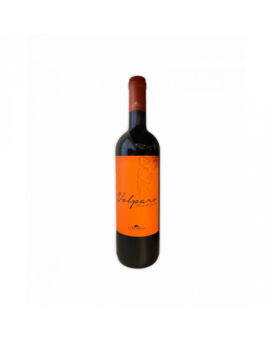 Rode wijnen  Volparo Rosso Terre di Chieti IGT 2017 - Podere Castorani 13,10 â‚¬ Rode wijnen  Volparo Rosso Terre di Chieti IGT 2017 - Podere Castorani 13,10 â‚¬