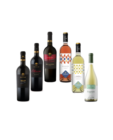 Red Wines  Due Palme: Ettamiano Primitivo - 1943 - Selvarossa Salice Salentino - Rosalita - Santa Caterina Chardonnay - fiano... Red Wines  Due Palme: Ettamiano Primitivo - 1943 - Selvarossa Salice Salentino - Rosalita - Santa Caterina Chardonnay - fiano...