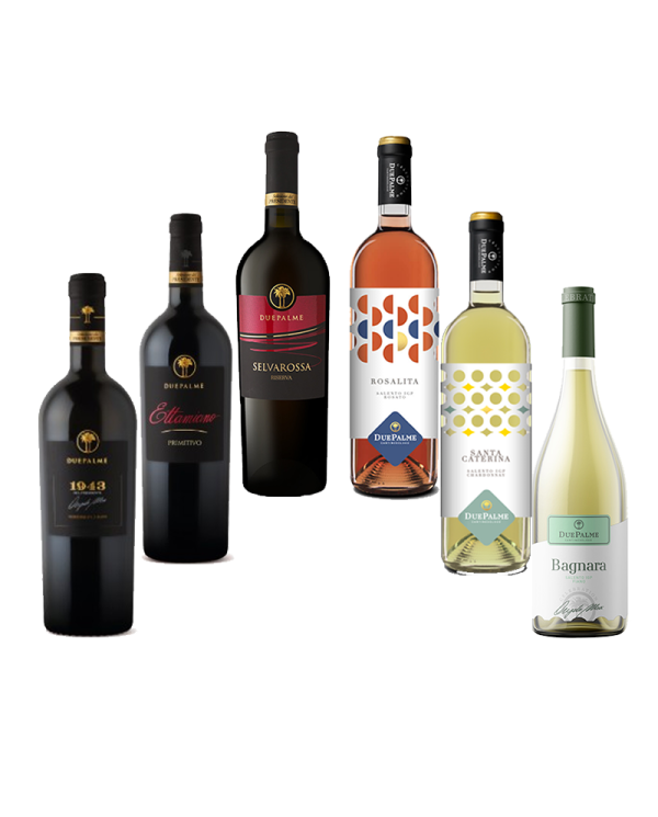 Vini Rossi  Due Palme: Ettamiano Primitivo - 1943 - Selvarossa Salice Salentino - Rosalita - Santa Caterina Chardonnay - fian... Vini Rossi  Due Palme: Ettamiano Primitivo - 1943 - Selvarossa Salice Salentino - Rosalita - Santa Caterina Chardonnay - fian...