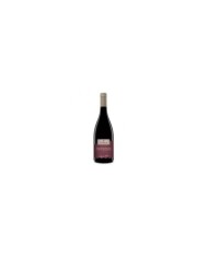 Vini Rossi  Sangaetano Primitivo di Manduria DOP Celebration 2022 - Cantine Due Palme 10,12 â‚¬ Vini Rossi  Sangaetano Primitivo di Manduria DOP Celebration 2022 - Cantine Due Palme 10,12 â‚¬