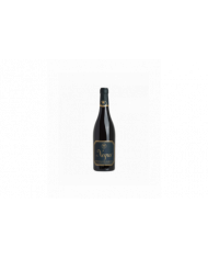 Vini Rossi  Montepulciano D'Abruzzo DOC NEGUS 1999 - Cascina del Colle 36,84 €