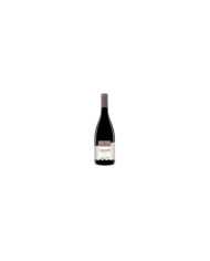 Rode wijnen  CAMARDA BRINDISI ROSSO DOP Celebration 2018 - Cantine Due Palme 9,84 â‚¬ Rode wijnen  CAMARDA BRINDISI ROSSO DOP Celebration 2018 - Cantine Due Palme 9,84 â‚¬