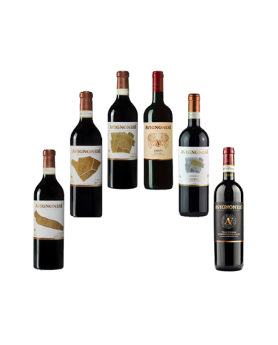 Vini Rossi  Selezione Avignonesi: El Grasso - La Banditella - Oceano - Grifi - Poggetto di Sopra - Nobile di montepulciano Bi... Vini Rossi  Selezione Avignonesi: El Grasso - La Banditella - Oceano - Grifi - Poggetto di Sopra - Nobile di montepulciano Bi...