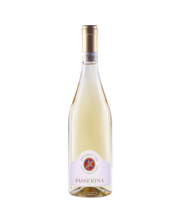 Vini Bianchi  Passerina Colline Teatine 2020 - Il Feuduccio 8,69 €