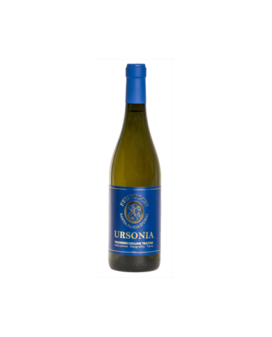 White wines  Ursonia Pecorino Colline Teatine IGT 2017 - Il Feuduccio 17,46 € White wines  Ursonia Pecorino Colline Teatine IGT 2017 - Il Feuduccio 17,46 €