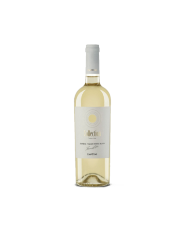 Vini Bianchi  COLLECTION Blend Bianco 2021 - Fantini Farnese 10,57 â‚¬ Vini Bianchi  COLLECTION Blend Bianco 2021 - Fantini Farnese 10,57 â‚¬