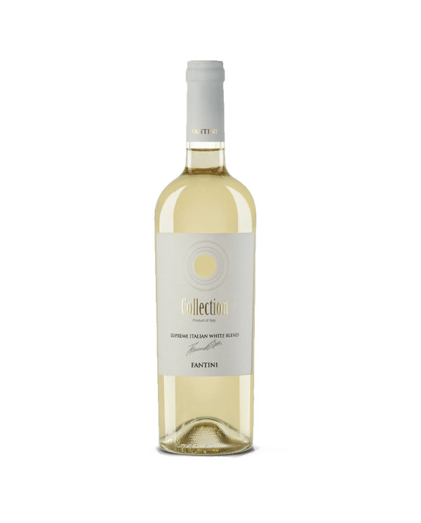 Witte Wijnen  COLLECTION Blend Bianco 2021 - Fantini Farnese 10,57 â‚¬ Witte Wijnen  COLLECTION Blend Bianco 2021 - Fantini Farnese 10,57 â‚¬