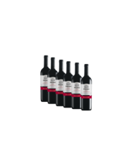 Vini Rossi  6 Bottiglie Primo Sangiovese Merlot Puglia IGT 2019 - Fantini Farnese 28,69 â‚¬ Vini Rossi  6 Bottiglie Primo Sangiovese Merlot Puglia IGT 2019 - Fantini Farnese 28,69 â‚¬