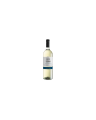 Vini Bianchi  6 Bottiglie Primo Malvasia - Chardonnay Terre di Chieti IGT 2021 - Fantini Farnese 28,69 â‚¬ Vini Bianchi  6 Bottiglie Primo Malvasia - Chardonnay Terre di Chieti IGT 2021 - Fantini Farnese 28,69 â‚¬