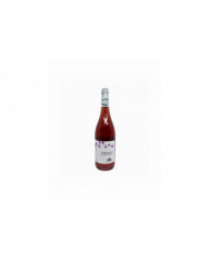 Vini Rosè  Arboreo Cerasuolo D'Abruzzo DOC 2021 - Antica Casa Vitivinicola Italo Pietrantonj 6,75 €