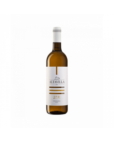 Witte Wijnen  Cococciola Terre di Chieti IGT 2021 - Altavilla - Marchesi De Cordano 5,09 €