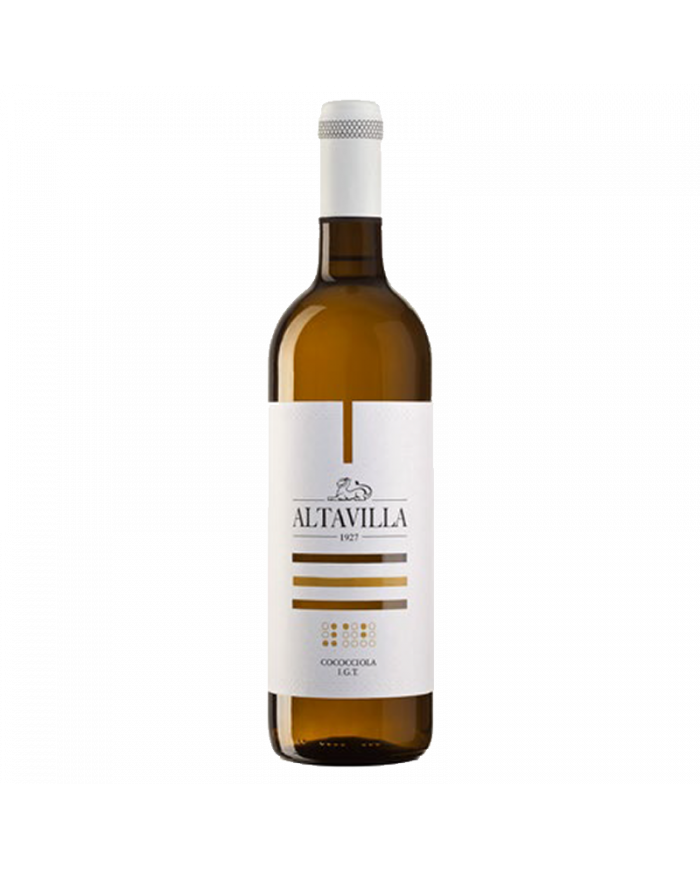 Vini Bianchi  Cococciola Terre di Chieti IGT 2021 - Altavilla - Marchesi De Cordano 5,09&nbsp;€
