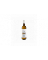 White wines  Passerina Terre di Chieti IGT 2021 - Altavilla - Marchesi De Cordano 5,09 €