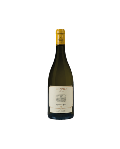 Witte Wijnen  Cervaro della Sala Umbria IGT Castello della Sala 2016 - Antinori 72,95 €
