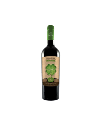 Rode wijnen  VIGNAPURA Primitivo Puglia IGP Biologico 2019 Cinquesegni - Fantini Farnese 11,60 â‚¬ Rode wijnen  VIGNAPURA Primitivo Puglia IGP Biologico 2019 Cinquesegni - Fantini Farnese 11,60 â‚¬