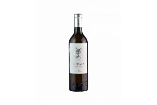 Vini Bianchi  Lupaia Vino Spontaneo Trebbiano IGT 2022 - Podere Castorani 22,16&nbsp;€