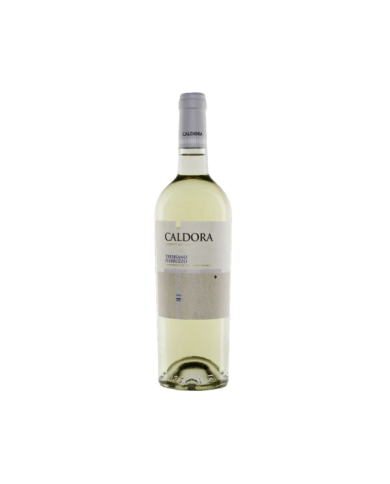 Vini Bianchi  CALDORA Trebbiano D'Abruzzo DOC 2022 - Caldora - Fantini Farnese 7,20 € Vini Bianchi  CALDORA Trebbiano D'Abruzzo DOC 2022 - Caldora - Fantini Farnese 7,20 €