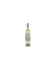White wines  CALDORA Trebbiano D'Abruzzo DOC 2022 - Caldora - Fantini Farnese 7,20 €