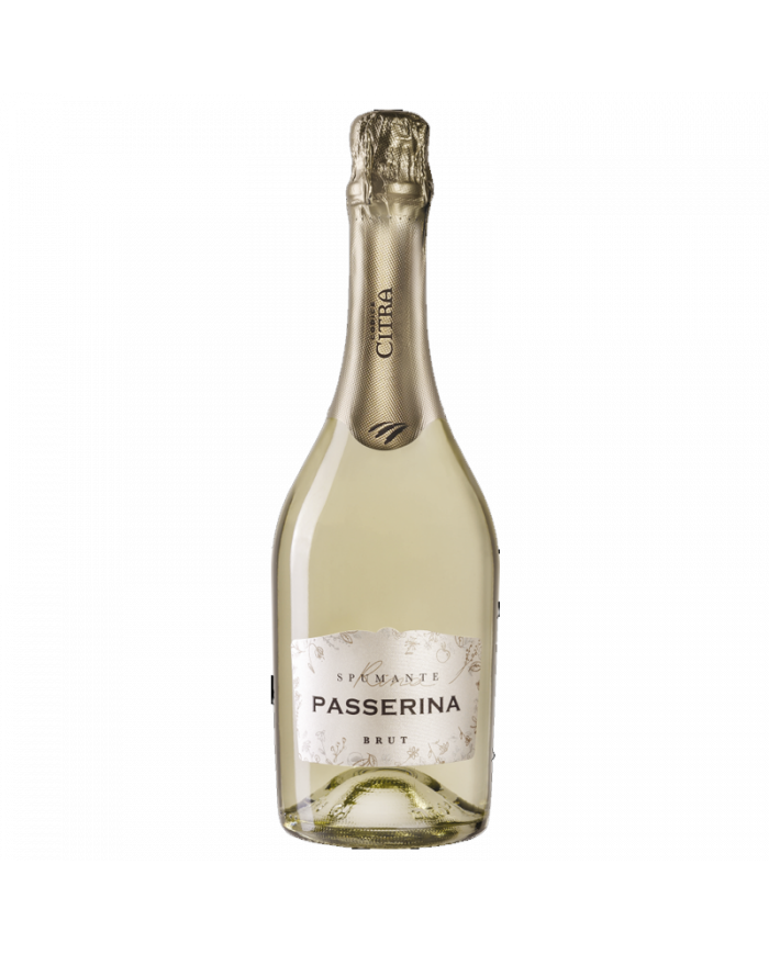 White wines  Spumante Passerina Brut Rina Metodo Martinotti - Codice Citra 5,27 â‚¬ White wines  Spumante Passerina Brut Rina Metodo Martinotti - Codice Citra 5,27 â‚¬