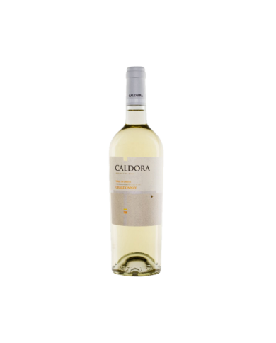 Witte Wijnen  CALDORA Chardonnay IGT Terre Di Chieti 2022 - Caldora - Fantini Farnese 7,20 â‚¬ Witte Wijnen  CALDORA Chardonnay IGT Terre Di Chieti 2022 - Caldora - Fantini Farnese 7,20 â‚¬