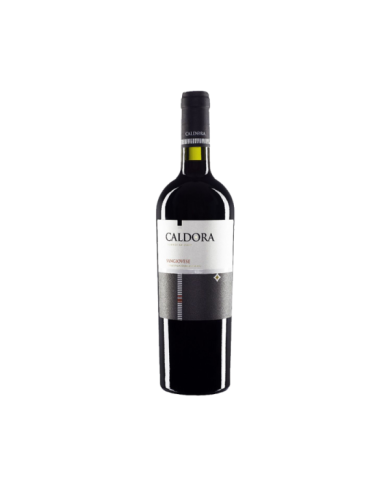 Rode wijnen  CALDORA Sangiovese Terre Di Chieti 2021 - Caldora - Fantini Farnese 7,20 €