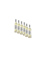 White wines  6 bottiglie Caldora Ortonese Malvasia Chardonnay IGT 2021 - Fantini Farnese 30,24 â‚¬ White wines  6 bottiglie Caldora Ortonese Malvasia Chardonnay IGT 2021 - Fantini Farnese 30,24 â‚¬