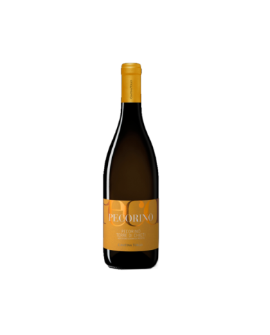 White wines  Peco Pecorino Terre di Chieti IGP 2021 - Cantina Tollo 9,43 €