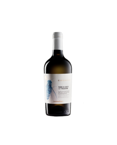 Witte Wijnen  Passerina Terre di Chieti IGP Biologico 2021 - Cantina Tollo 6,56 â‚¬ Witte Wijnen  Passerina Terre di Chieti IGP Biologico 2021 - Cantina Tollo 6,56 â‚¬