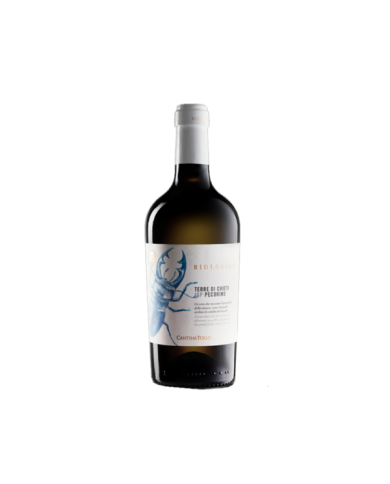 Witte Wijnen  Pecorino Terre di Chieti IGP Biologico 2021 - Cantina Tollo 6,48 â‚¬ Witte Wijnen  Pecorino Terre di Chieti IGP Biologico 2021 - Cantina Tollo 6,48 â‚¬