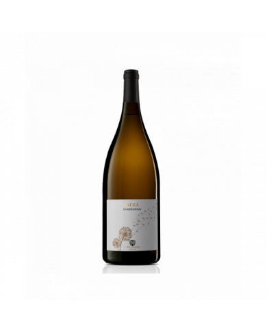 White wines  Degà - Chardonnay IGP 2021 Biologico - Vigna Madre 5,18 € White wines  Degà - Chardonnay IGP 2021 Biologico - Vigna Madre 5,18 €