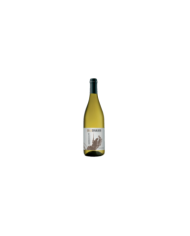 White wines  Colle Cavalieri Passerina Terre di Chieti Igp 2023 - Cantina Tollo 6,32 €