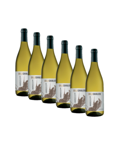Vini Bianchi  6 Bottiglie Colle Cavalieri Passerina Terre di Chieti Igp 2021 - Cantina Tollo 31,39&nbsp;€