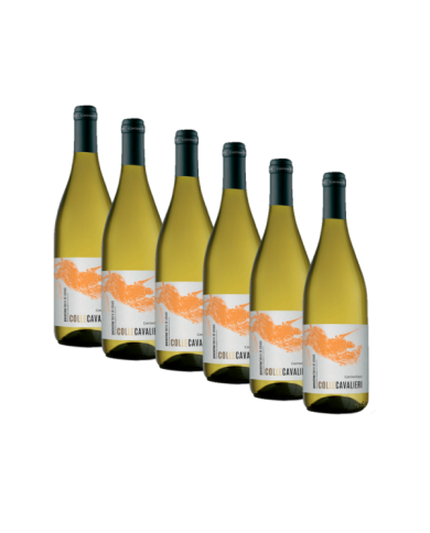 Vini Bianchi  6 Bottiglie Colle Cavalieri Pecorino Terre di Chieti Igp 2021 - Cantina Tollo 31,39&nbsp;€