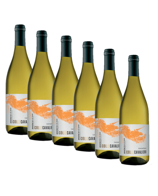 Witte Wijnen  6 Bottiglie Colle Cavalieri Pecorino Terre di Chieti Igp 2021 - Cantina Tollo 31,39 €