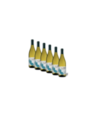 Vini Bianchi  6 Bottiglie Colle Cavalieri Chardonnay Terre di Chieti Igp 2021 - Cantina Tollo 31,39 €